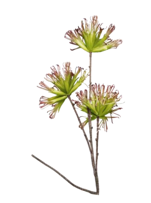 FLOWER DECOR - S17CH4143