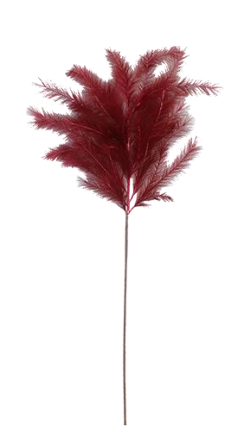 FLAMING CROWN REED- S175438H