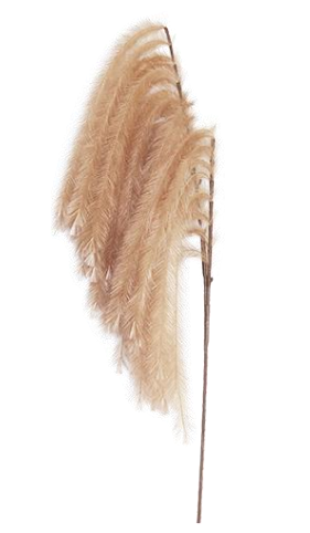 LONG STRIPED COFFEE REED - S175529H