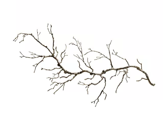 TWIG WALL ART