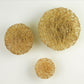 WIRED WALL DISC